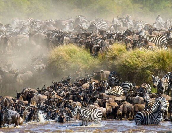 5 Days Ndutu Migration Serengeti