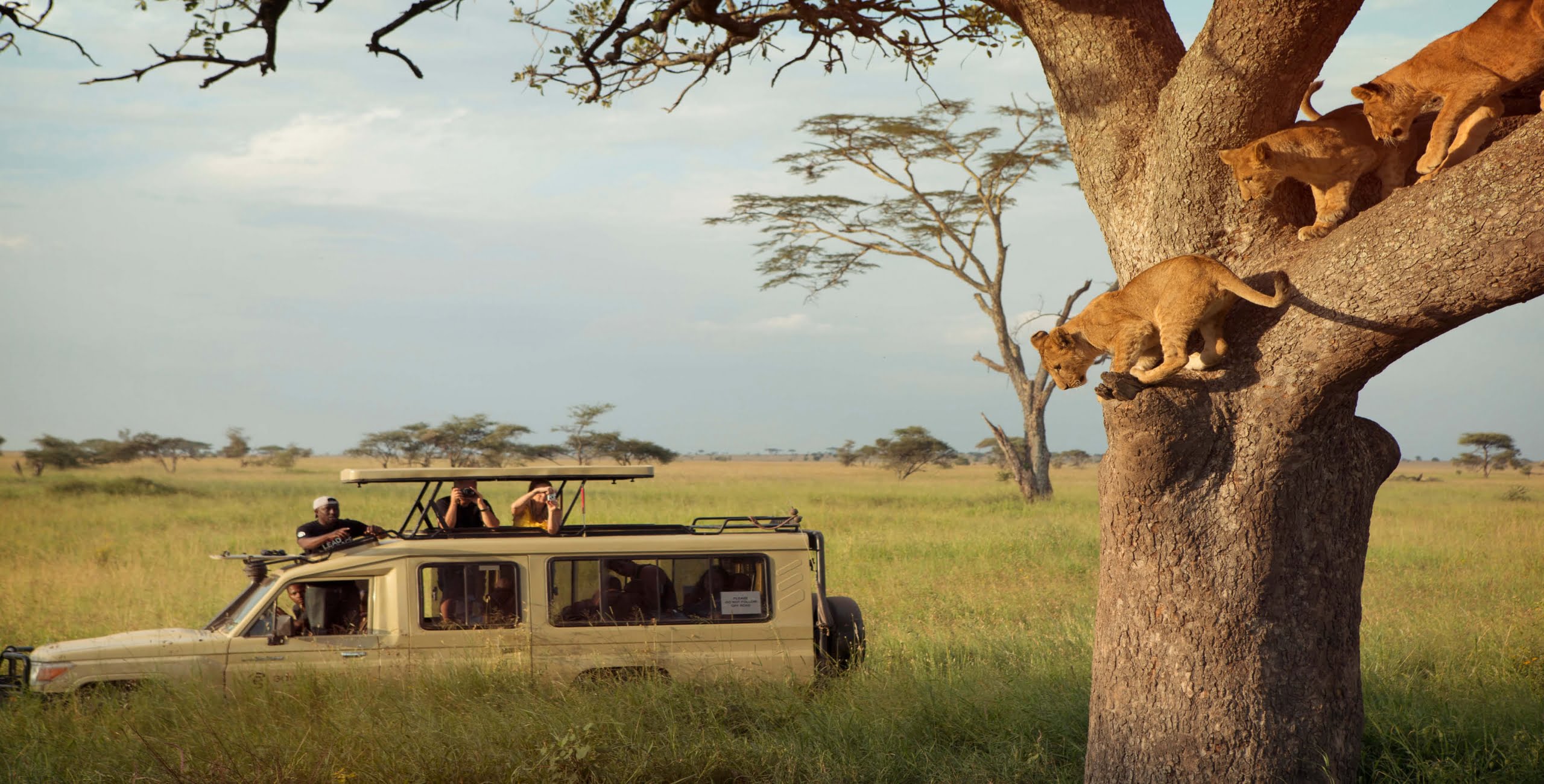 10 Days Tanzania Family Safari