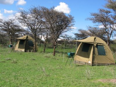 Camping-Safari